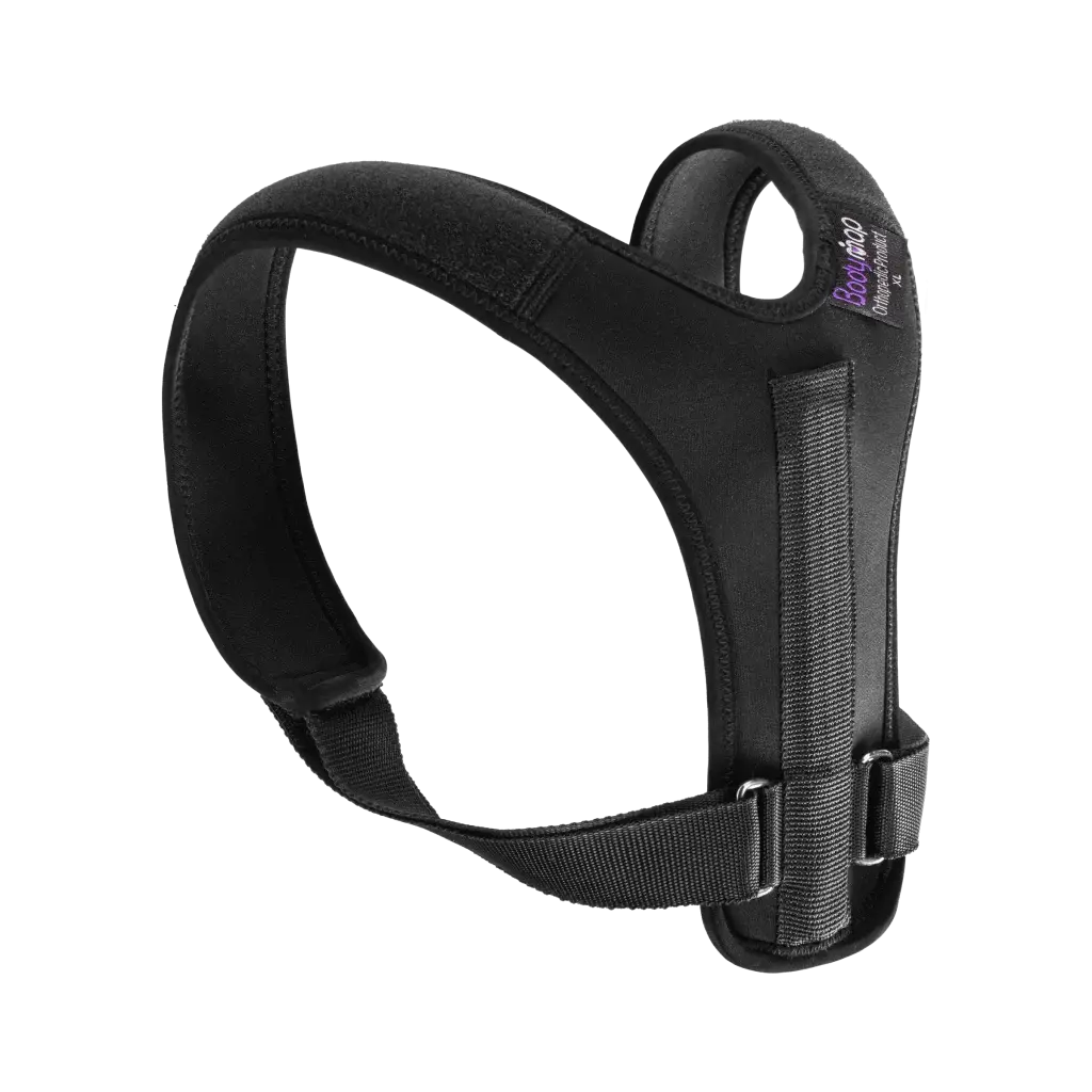 Bodymap Posture Support Brace, product code C10